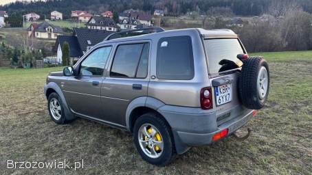 Land Rover Freelander 2001