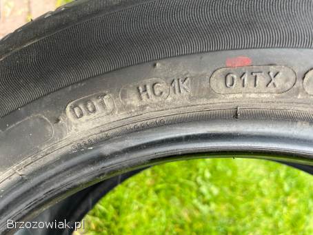 Opony Michelin 195/55/16