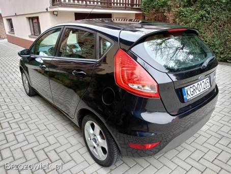 Ford Fiesta 2009