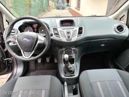 Ford Fiesta 2009