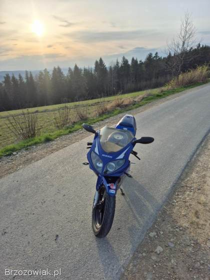 Peugeot XR6 2005