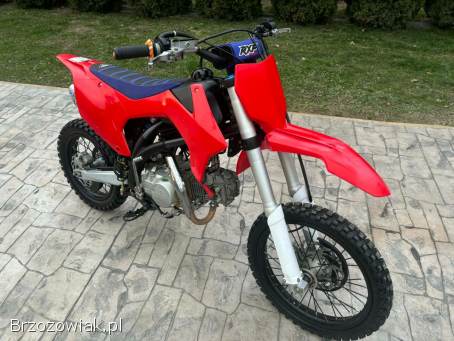 RXF RXF 2023