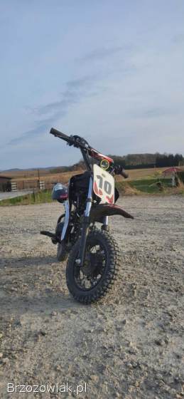 TaoTao DB10 2017