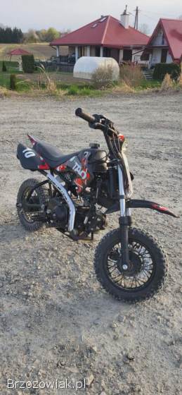 TaoTao DB10 2017