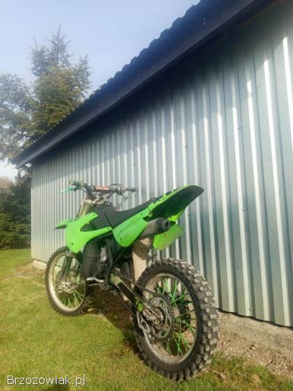 Kawasaki KX 2004