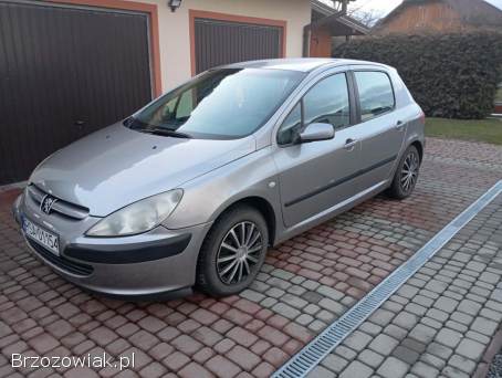 Peugeot 307 2005