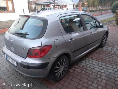 Peugeot 307 2005