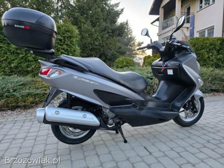 Suzuki Burgman Kat.  B.   2014