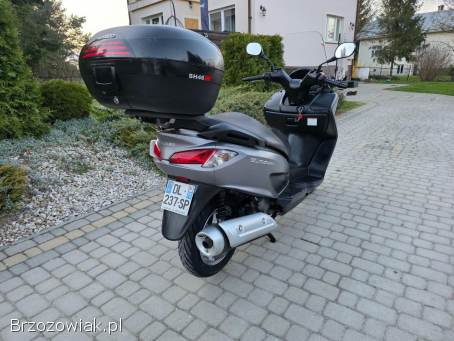 Suzuki Burgman Kat.  B.   2014