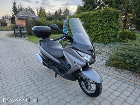 Suzuki Burgman Kat.  B.   2014