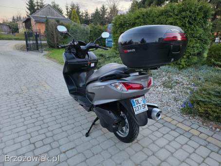 Suzuki Burgman Kat.  B.   2014