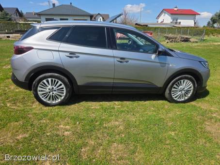 Opel Grandland X 2020
