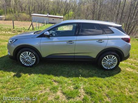 Opel Grandland X 2020