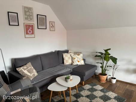 Przytulne mieszkanie przy parku 37,  19 m² Zawodzie idealne do zamieszkania
