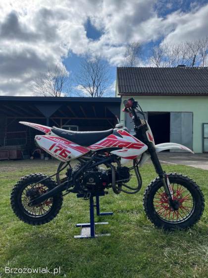 Mrf 170  Rc 2019