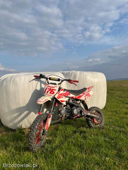 Mrf 170  Rc 2019