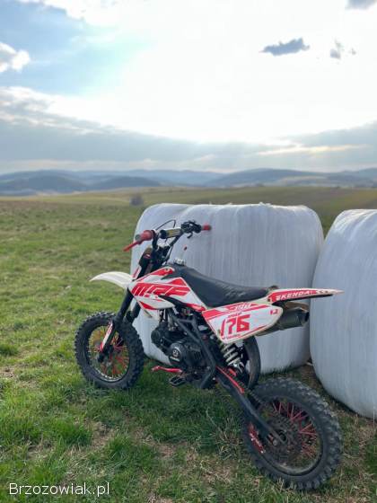 Mrf 170  Rc 2019