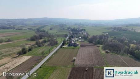 Działka budowlana 45 ar -  Kopytowa.