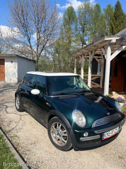 Mini Cooper 2002