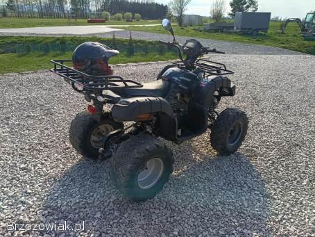 Quad 250