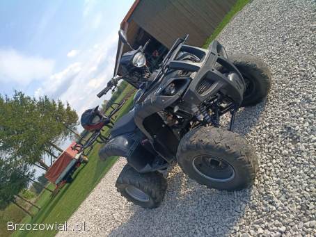 Quad 250