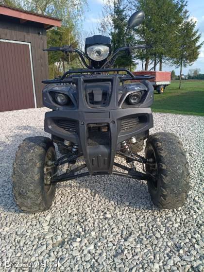 Quad 250