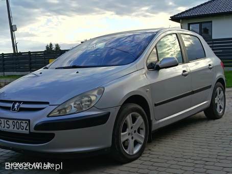 Peugeot 307 2001