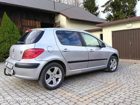 Peugeot 307 2001