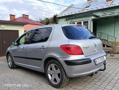 Peugeot 307 2001