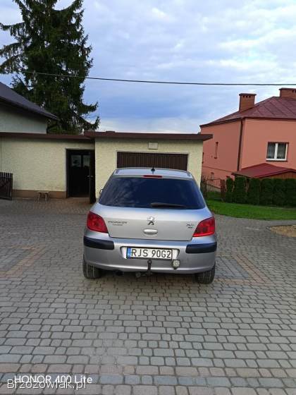 Peugeot 307 2001