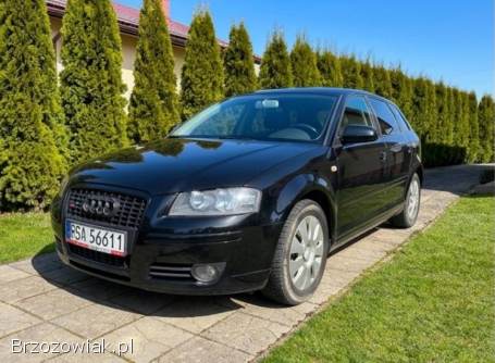 Audi A3 8P 2007