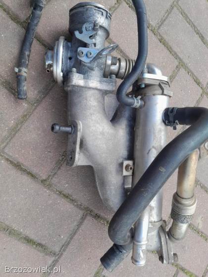 Sprzedam zawor egr kolektor 1,  9tdi