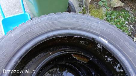 Opony zimowe Dębica Frigo2 205/55/16
