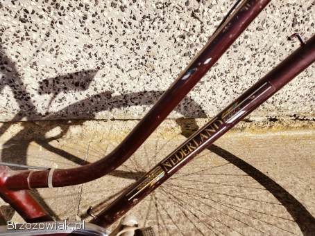 Rower holenderski damka mocny miejski