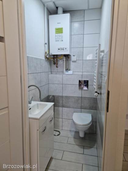 Lokal w centrum Brzozowa