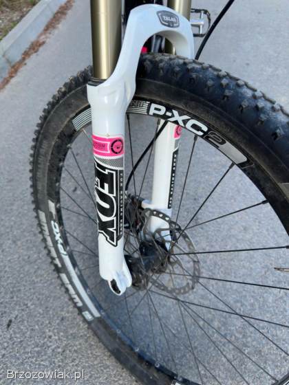 Rower Giant trance maestro enduro downhill