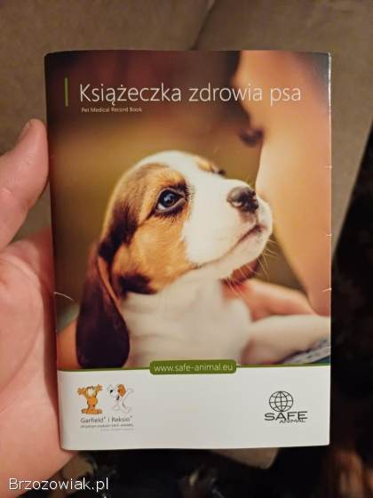 Oddam suczke w dobre ręce