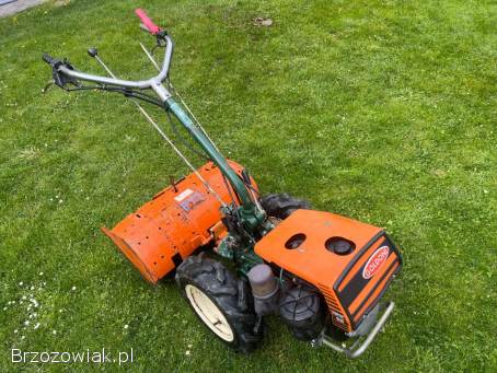 Glebogryzarka Goldoni Super 611