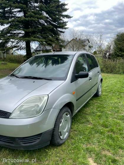 Ford Fiesta 2004