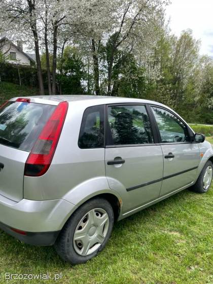 Ford Fiesta 2004