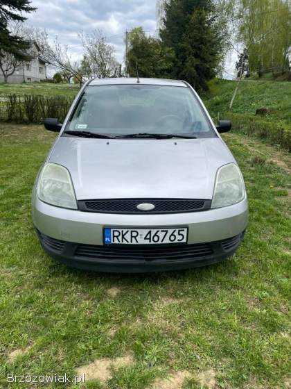 Ford Fiesta 2004