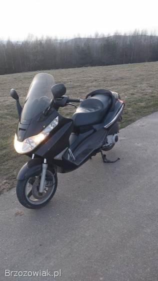 Piaggio X8 125  X8 125 2005
