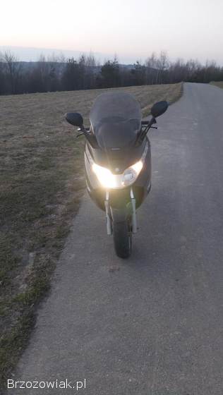Piaggio X8 125  X8 125 2005