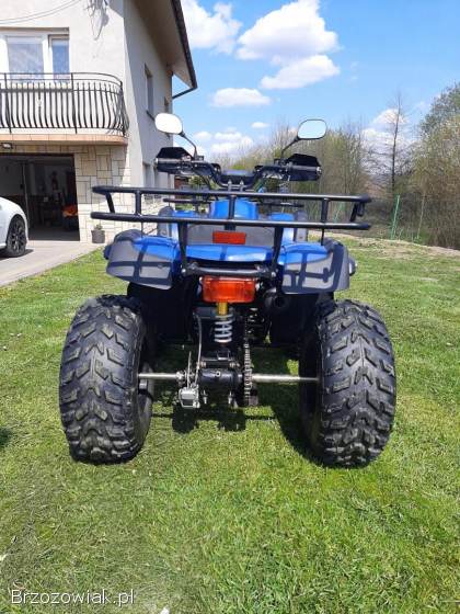 Quad ATV 250
