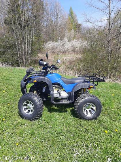 Quad ATV 250