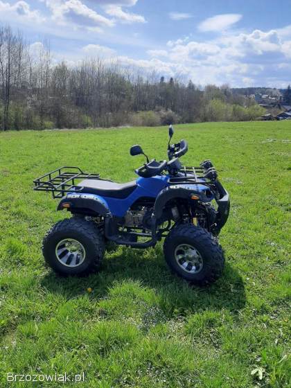 Quad ATV 250