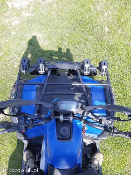 Quad ATV 250