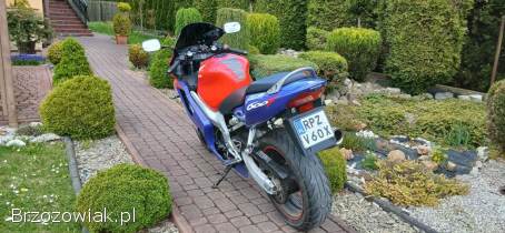 Honda CBR F4 1999