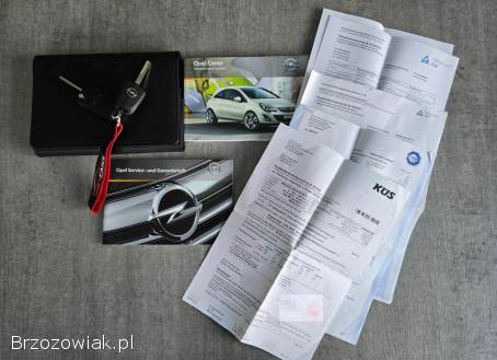 Opel Corsa 1.  4 16V ColorEdi 2011
