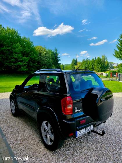 Toyota RAV4 2000